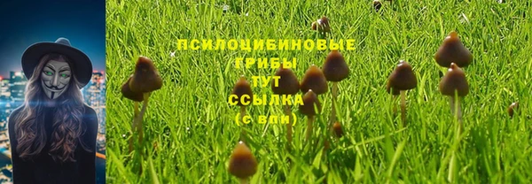 крисы Лабытнанги