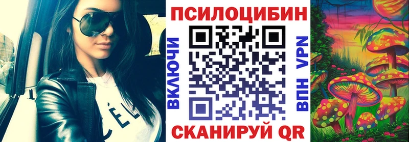 где найти наркотики  МЕГА   Галлюциногенные грибы Cubensis  Мончегорск 